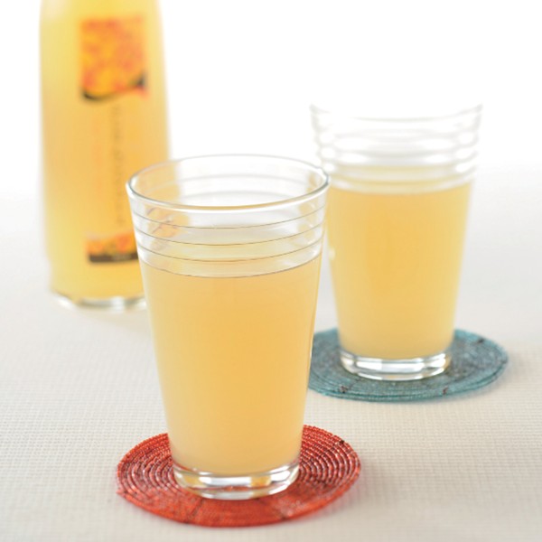 長野県産ふじりんごジュース500ml×2